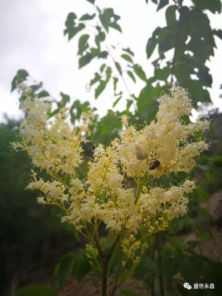 汉滨开展春节市场秩序专项整治